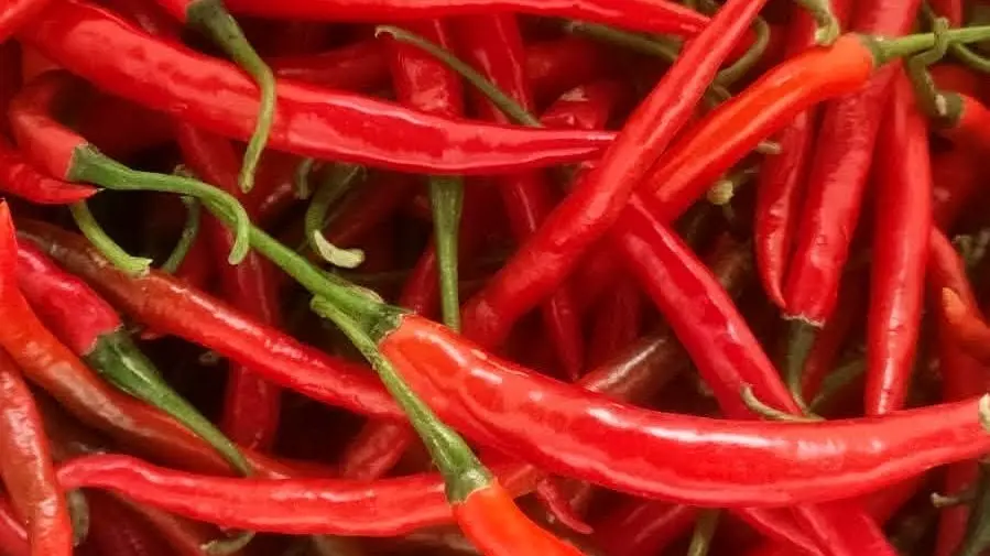 Faktor Alam dan Produksi Picu Kenaikan Harga Cabai?