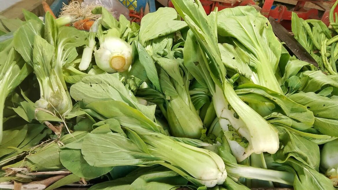 Akibat Panen Massal, Harga Pokcay Anjlok