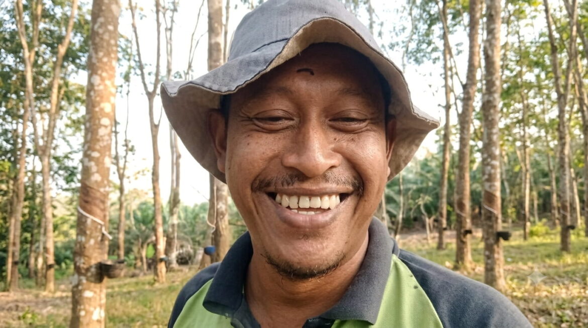 Rupiah Makin Lemah, Petani Getah Karet Makin Senang!