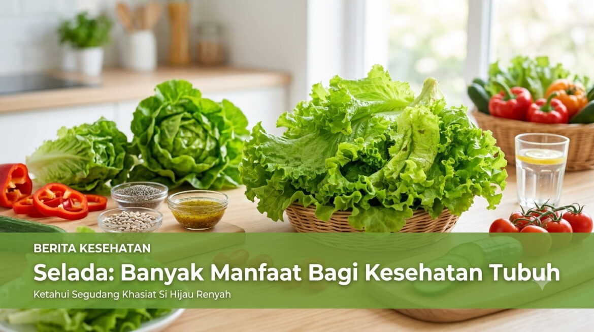 Selada: Banyak Manfaat Bagi Kesehatan Tubuh