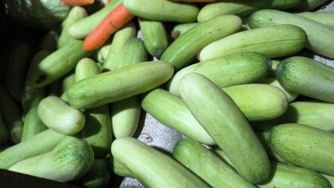 Harga Sayur Lokal Merangkak Naik, Timun Paling Mahal